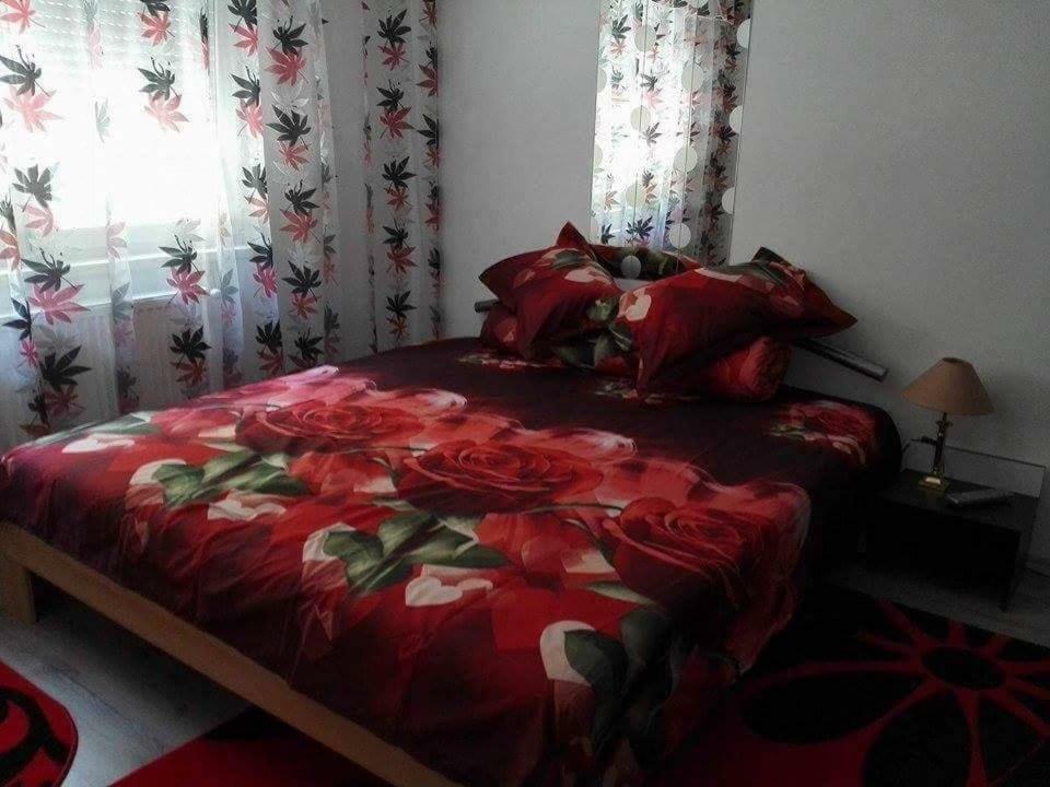 Apartmán Apartament Ela Elegance Orşova Exteriér fotografie