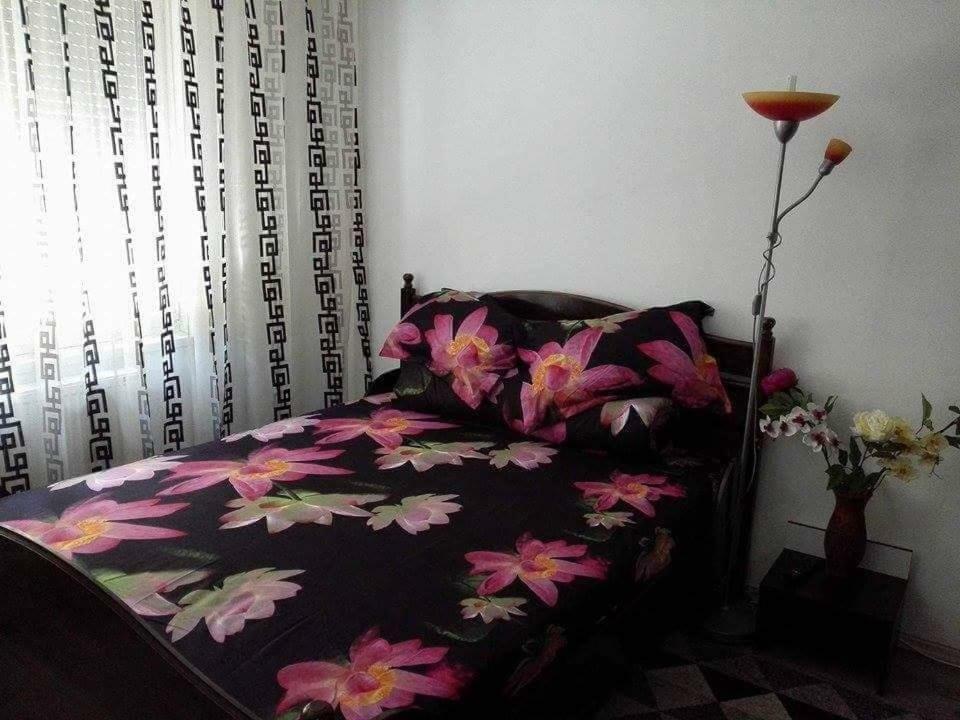 Apartmán Apartament Ela Elegance Orşova Exteriér fotografie